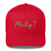 Stubby McPickle - "Mully?" snap back